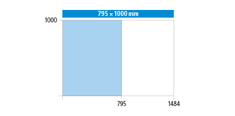 795 x 1000